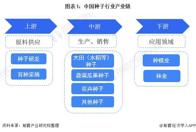 最新种子号及其应用前景展望