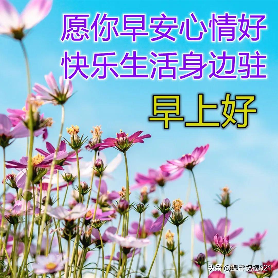 最新周末祝福短信