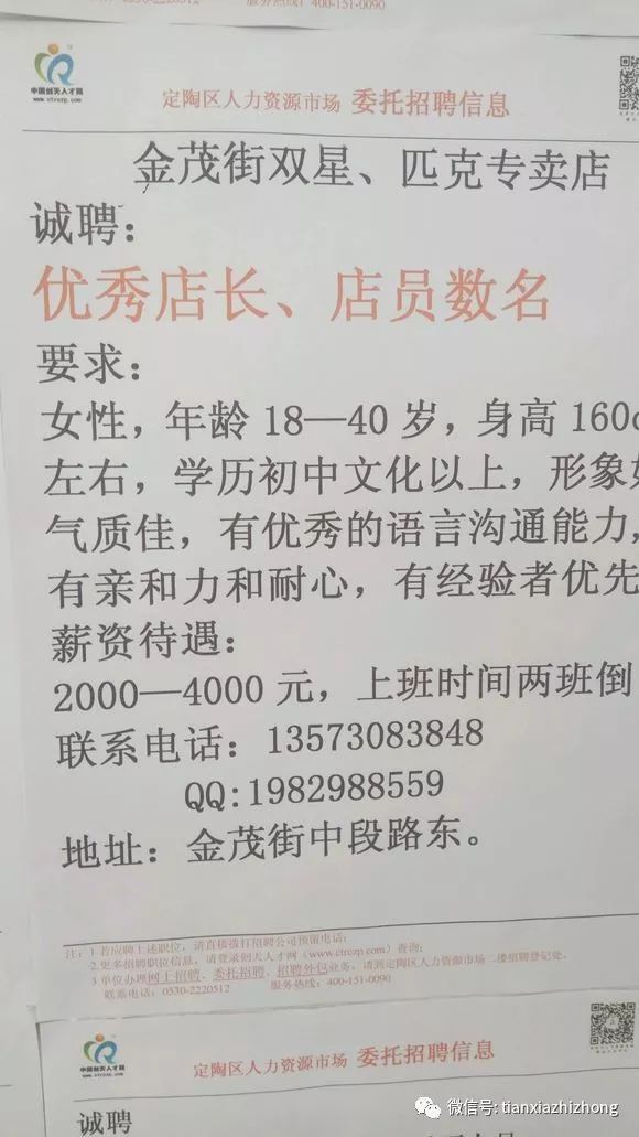 定陶招聘网最新招聘动态及其影响