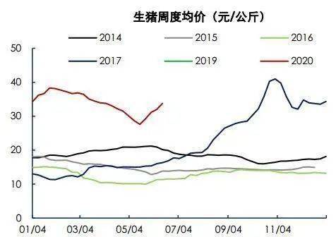 最新猪价走势分析