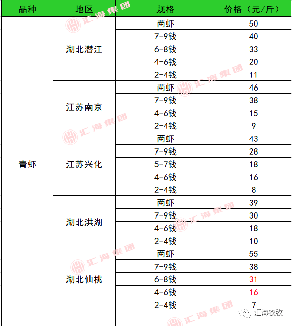 鹅价格最新行情分析