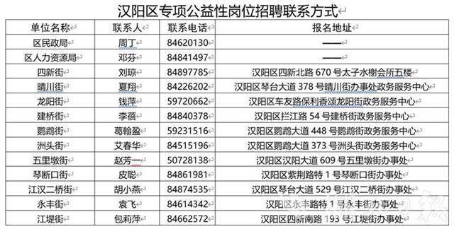 汉阳最新招聘动态及其影响