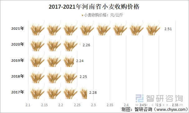 河北省小麦最新价格动态分析