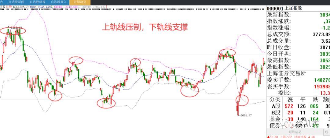 最新个股动态与投资策略